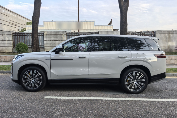 Denza N9 car image #5