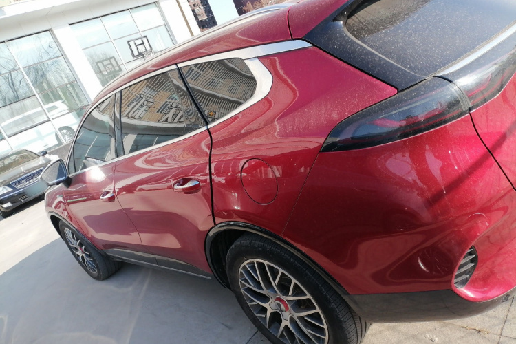 Denza X 2020 car image #5