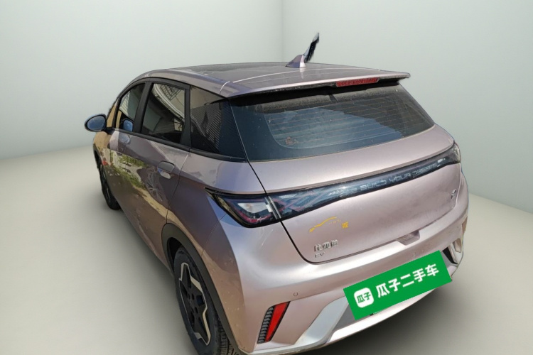 BYD Dolphin 2022 صورة سيارة #5