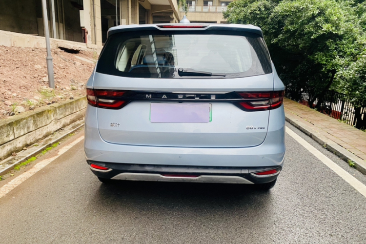 睿蓝汽车 枫叶80v PRO 2023 汽车图片 #5