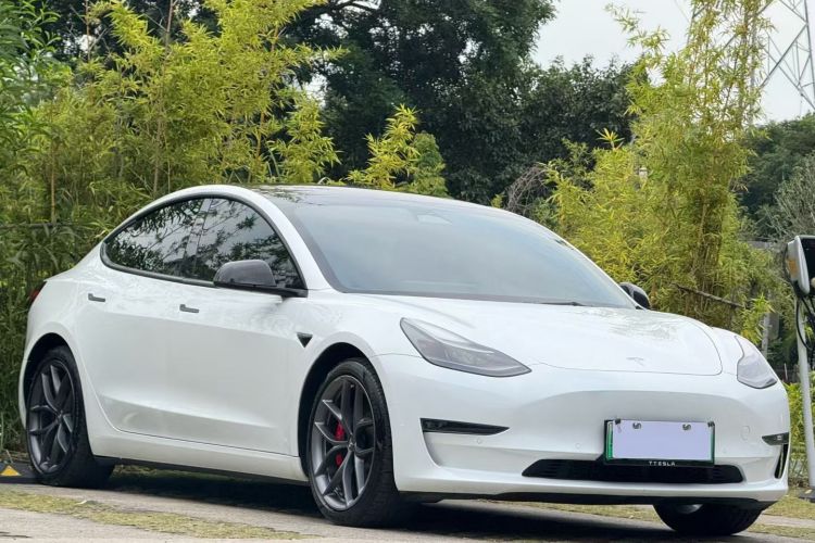 Tesla Model 3 2022 #5 Tesla Model 3 2022 car image #5