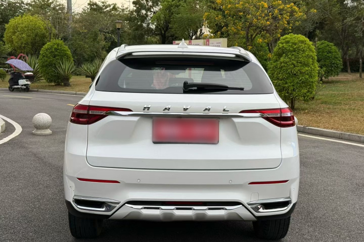 Haval F7 2019 image de voiture #5