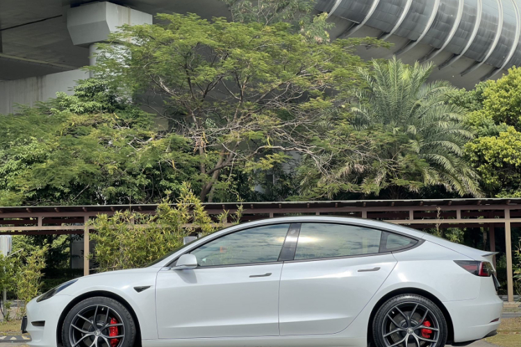 Tesla Model 3 2020 صورة سيارة #5