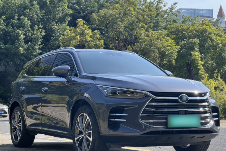 BYD Tang New Energy 2019 car image #5