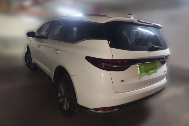 睿蓝汽车 枫叶80v PRO 2023 汽车图片 #5