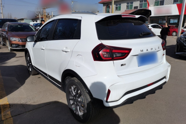 睿蓝汽车 睿蓝汽车X3 PRO 2023 汽车图片 #5