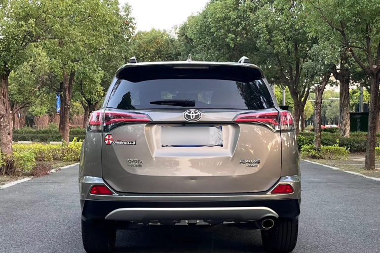 RAV4 2017 immagine di auto #5