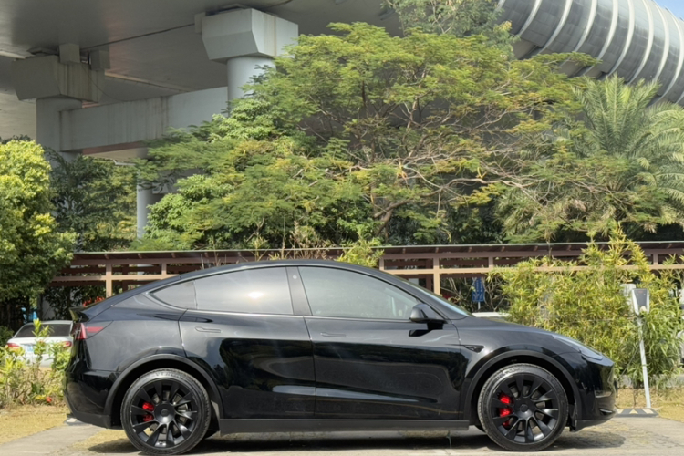Tesla Model Y 2021 #5 Tesla Model Y 2021 car image #5