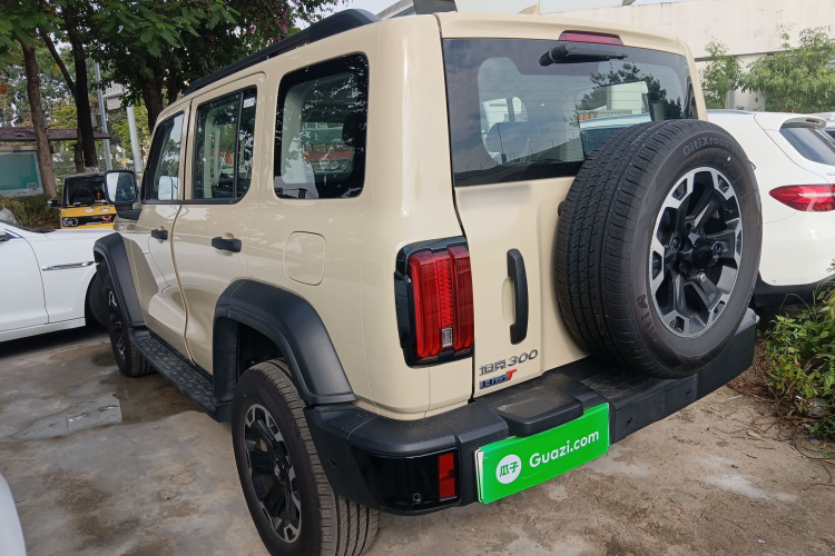 Tank 300 New Energy 2025 car image #5