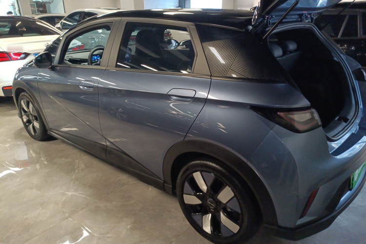 比亚迪 海豚 2023 汽车图片 #5