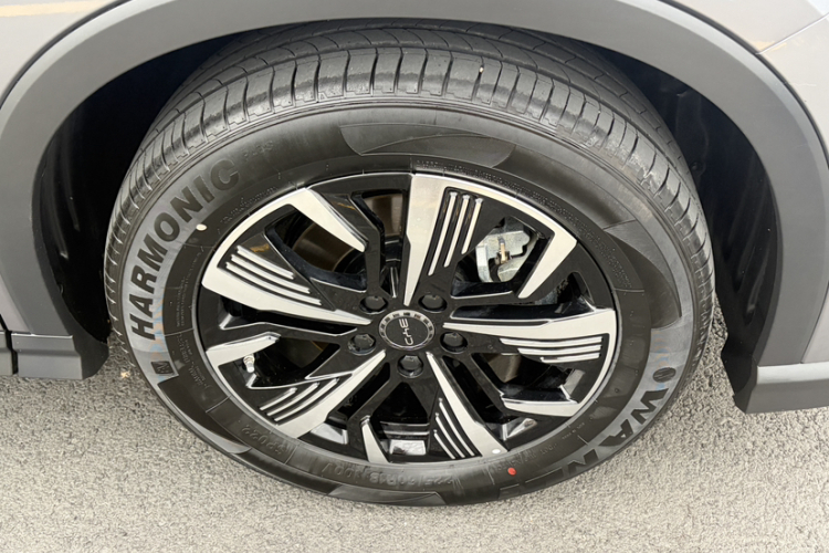 BYD Sea Lion 05 DM-i 2025 car image #5