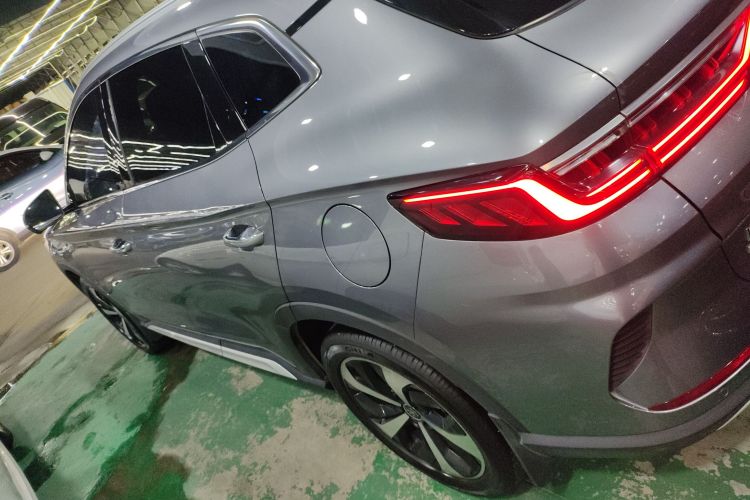 BYD Song Plus New Energy 2021 immagine di auto #5
