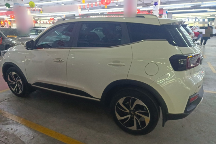 Showjet 2020 image de voiture #5