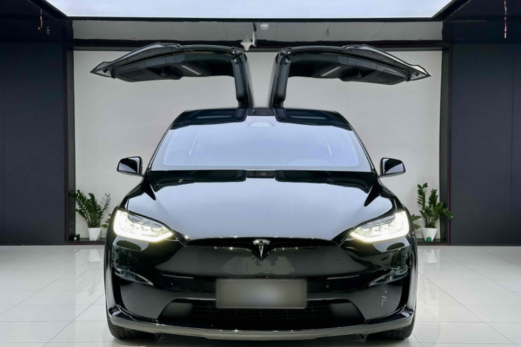 特斯拉 Model X 2023 汽车图片 #5