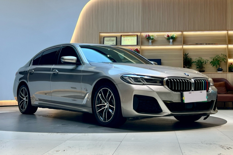 BMW 5 Series New Energy 2021 car image #5