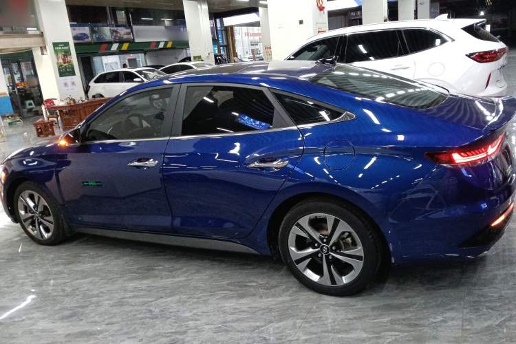 Hyundai Lafesta 2020 imagen de coche #5