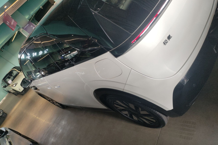 极氪 极氪MIX 2024 汽车图片 #5