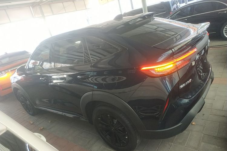 Haval H6S 2021 immagine di auto #5