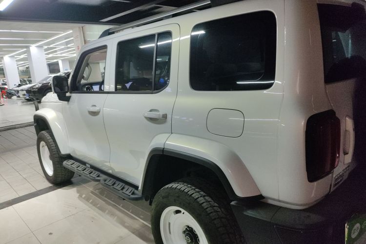 Tank 300 New Energy 2024 car image #5