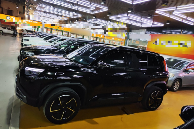 FangChengBao Tiger 3 2025 #5 FangChengBao Tiger 3 2025 car image #5