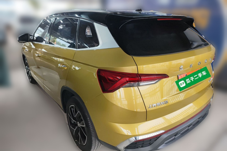 Skoda Kamiq 2019 car image #5