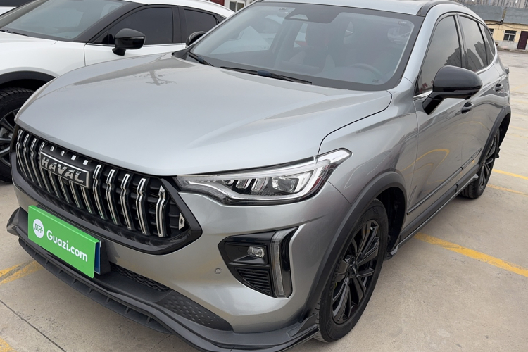 Haval Rabbit 2021 #5 Haval Rabbit 2021 car image #5