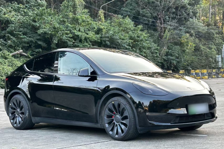 Tesla Model Y 2023 #5 Tesla Model Y 2023 car image #5