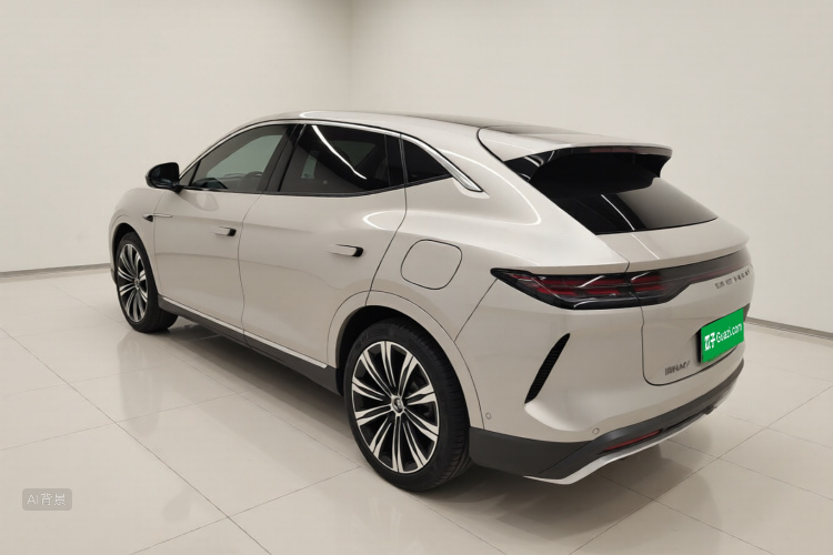 Denza 2023 car image #5