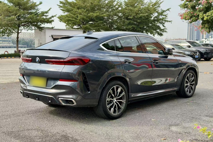 BMW X6 2020 car image #5