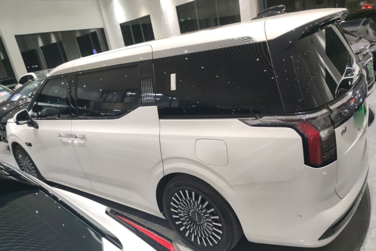 极氪 极氪009 2023 汽车图片 #5