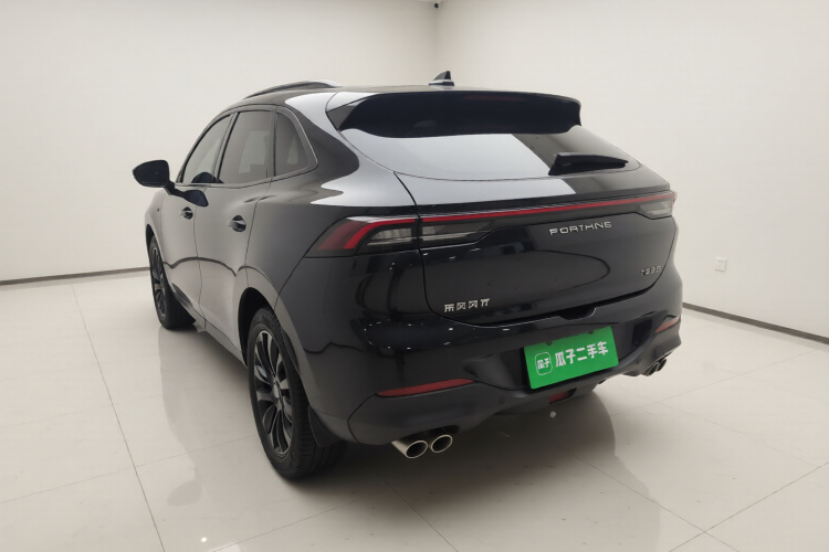 Forthing T5 EVO 2021 car image #5