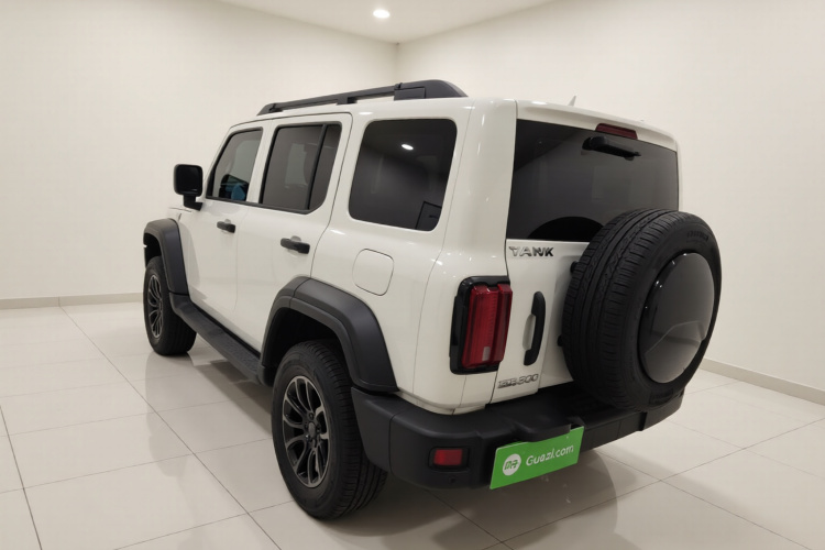 Tank 300 2021 #5 Tank 300 2021 car image #5