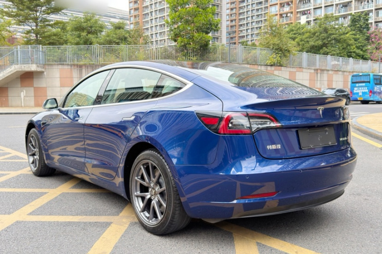 Tesla Model 3 2020 car image #5