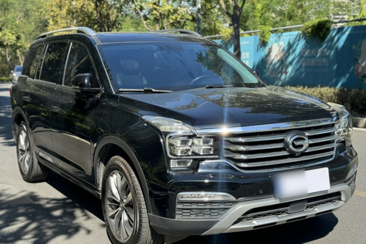 GAC Trumpchi GS8 2019 car image #5