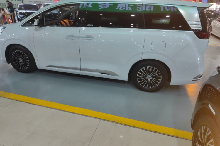Denza D9 2024 car image #5
