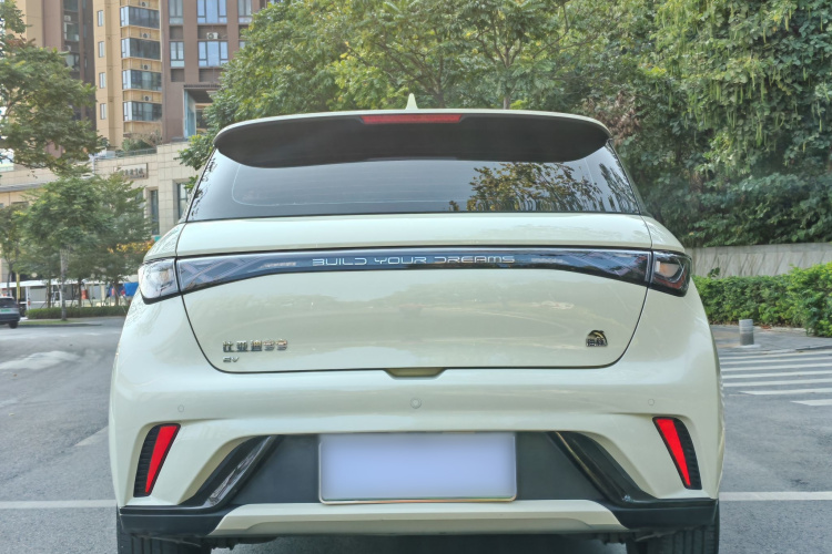 BYD Dolphin 2022 car image #5