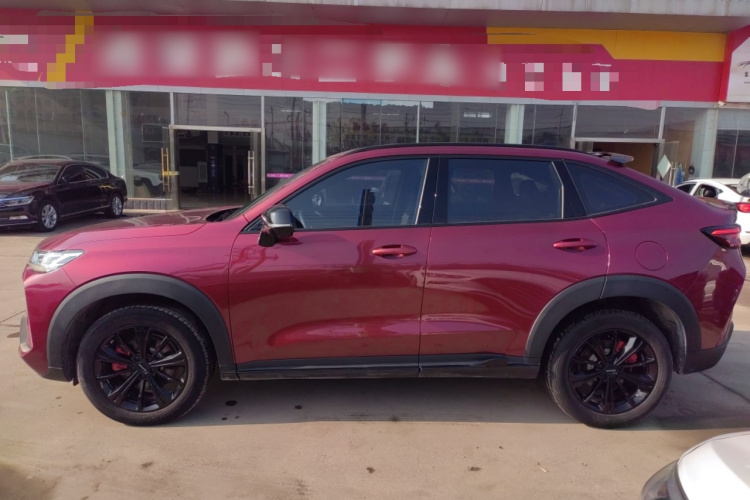 Haval H6S 2023 car image #5