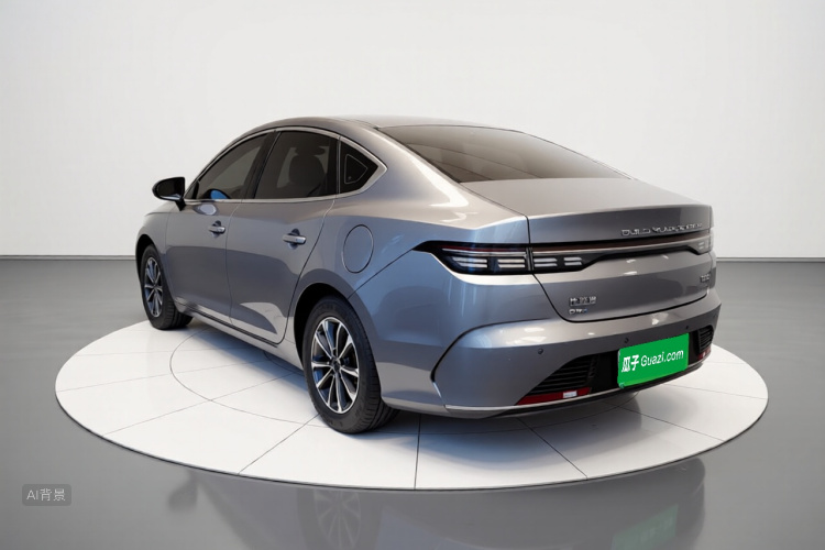 BYD Destroyer 05 2024 car image #5