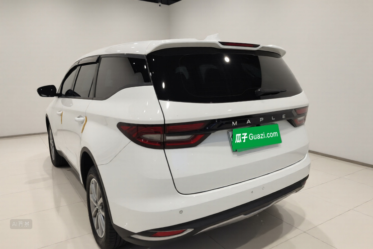 睿蓝汽车 枫叶80v 2022 汽车图片 #5