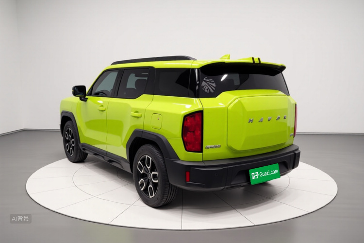 Haval Dargo 2022 car image #5