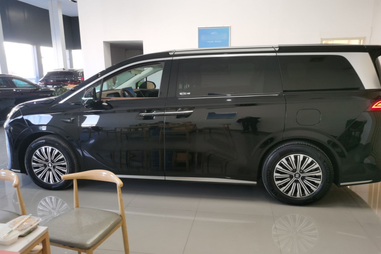 BYD Xia 2024 imagen de coche #5