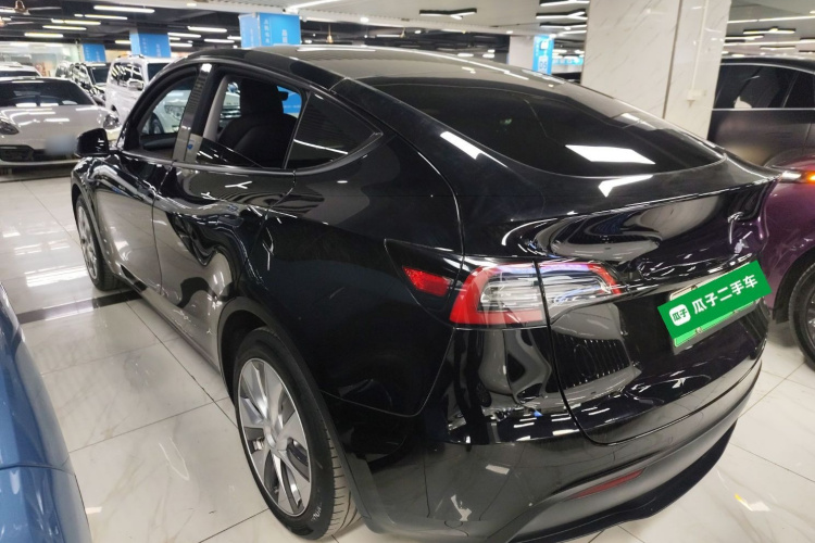 Tesla Model Y 2021 car image #5