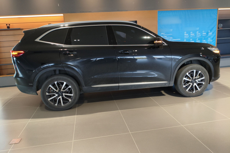 Haval H6 2022 car image #5