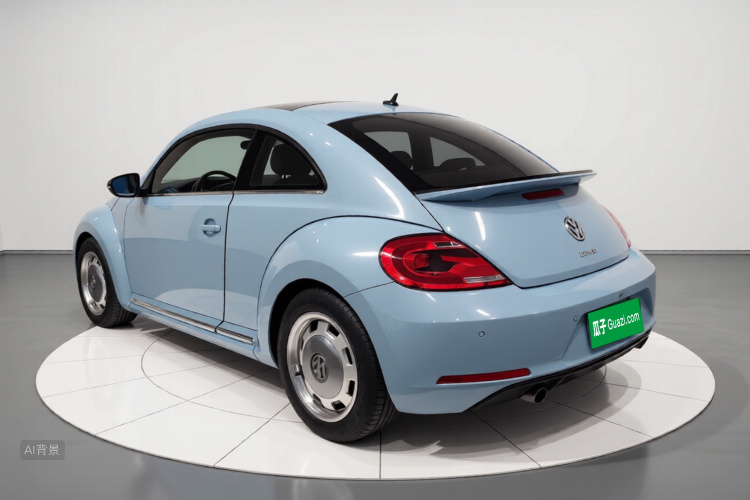 Volkswagen Beetle 2014 immagine di auto #5