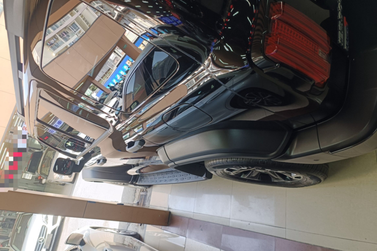 Tank 300 New Energy 2025 imagem de carro #5