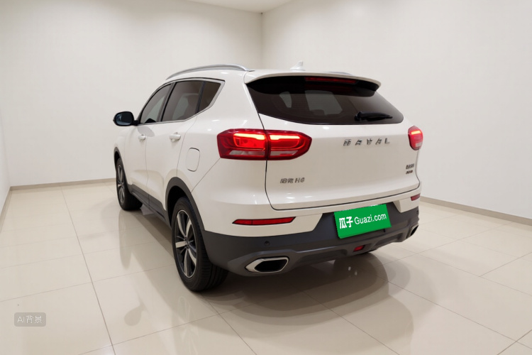 Haval H6 2017 car image #5