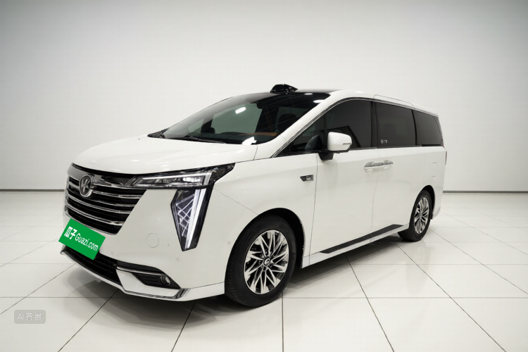 GAC Trumpchi Xiangwang M8 2025 car image #5