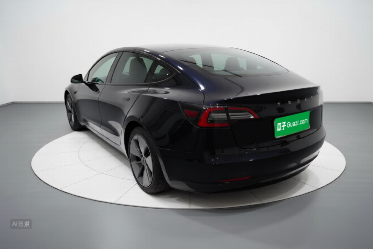 Tesla Model 3 2021 car image #5
