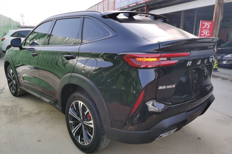 Haval H6S 2023 immagine di auto #5