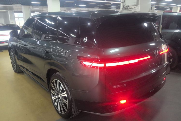 Denza N9 2025 immagine di auto #5